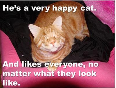  Autors: Politikānis Apbrīnojams kaķis,viņš ir brīnums!