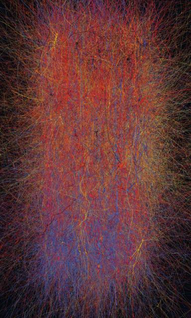 Neironi darbībā Ar zilo krāsu... Autors: janex1 Super dators par 1 miljardu Euro