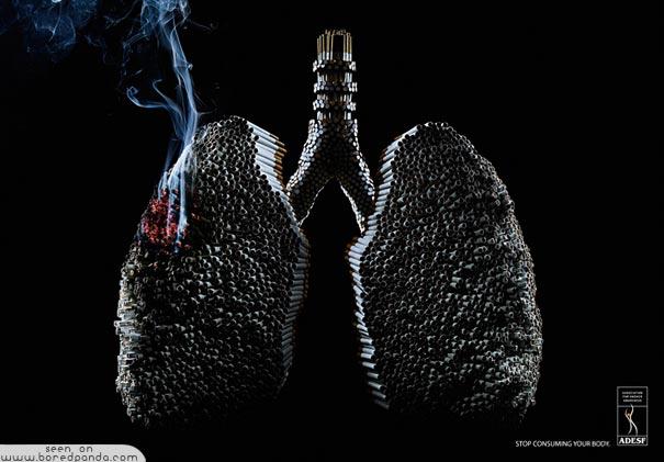 Plauscaronas Autors: Fosilija Labākās pretsmēķēšanas reklāmas