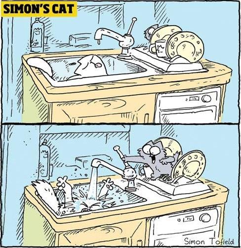  Autors: alieee Simon's Cat