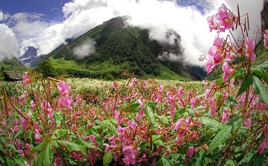 Valley of FlowersIndija ... Autors: Fosilija Pasaules brīnumi