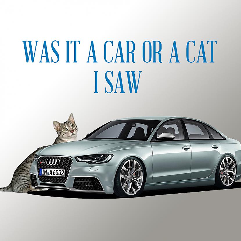 bdquoWAS IT A CAR OR A CAT I... Autors: Aurelius Šos faktus, tu iespējams nezināsi