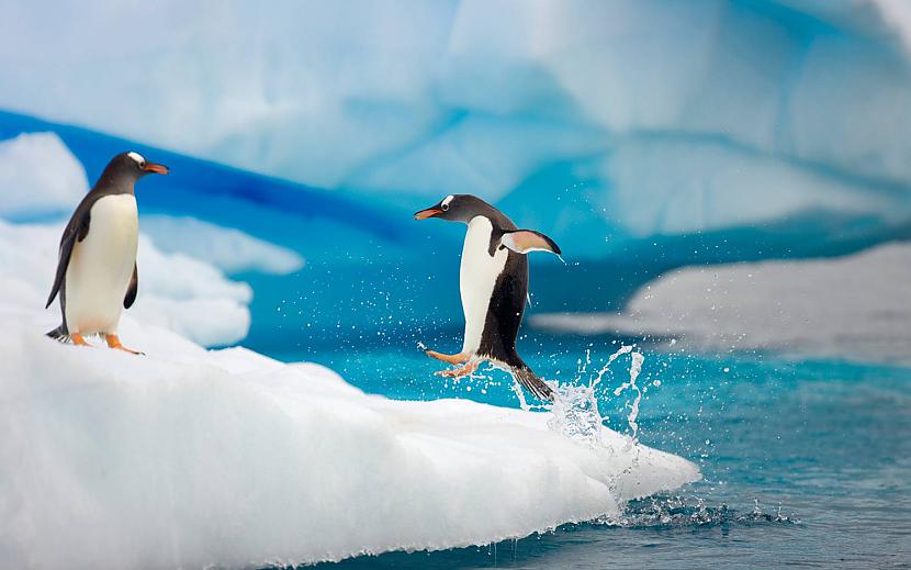 Antarktīda  Lai gan... Autors: Mūsdienu domātājs Pasaules visnedrošākās vietas(2)