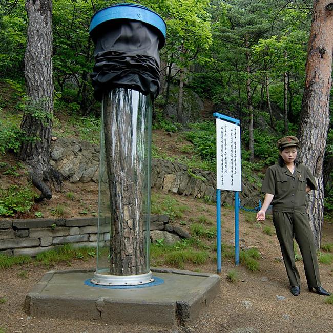 Koku aprakstīscaronana vispār... Autors: Raziels Ziemeļkoreja, kāda tā ir