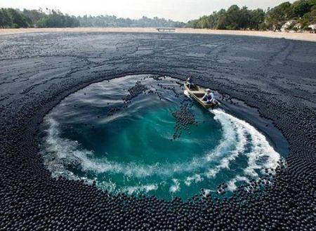 Melnās bumbas pārklāj... Autors: Kaajinsh Losandželosas ūdenstilpnē peld 400000 bumbiņas