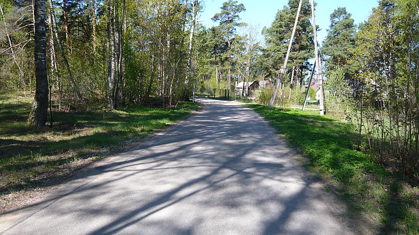 Pēc vairāku koku... Autors: MZČurbiks Svabadā labadā, kur ir mans kaladū, kaladū?!