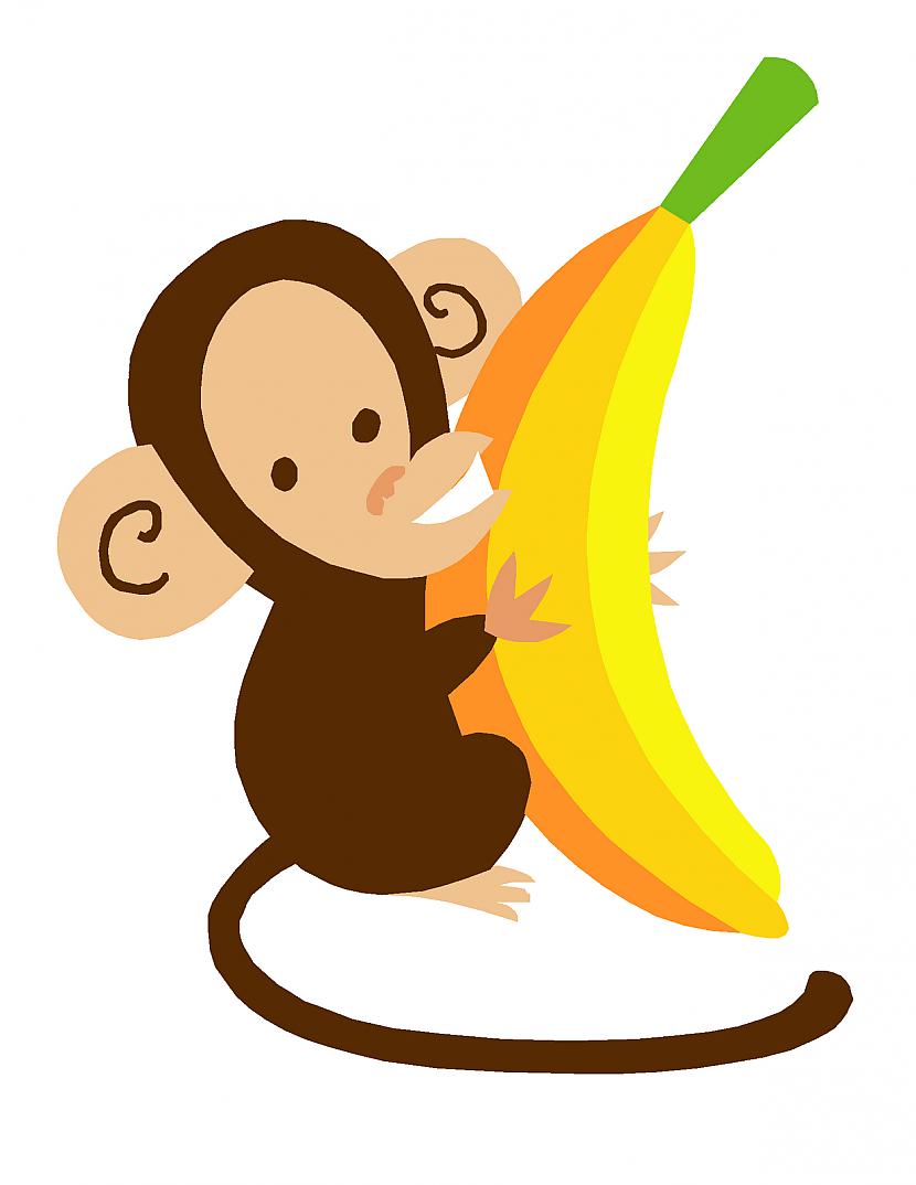 atdot savu banānu pērtiķim Autors: Fosilija Ko darīt ar banānu? (ĪSTO)