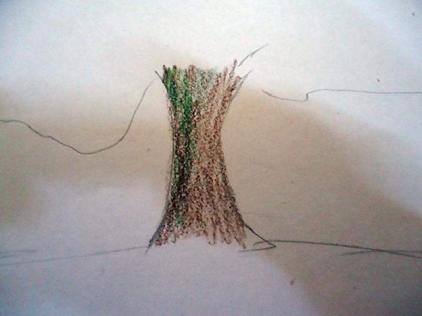 Pāri pārkrāso brūnoarī ēnai Autors: almazza Kā izkrāsot koku (bildes, apraksts)