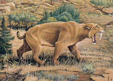 pirms 10 milijoniem gadu... Autors: LordOrio Kas mēs esam 6-zīdītāju ēra