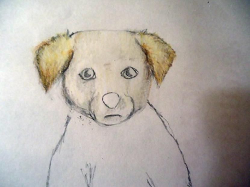 Un scaronur tur vēl tumscaroni... Autors: almazza Kā uzzīmēt un izkrāsot suni