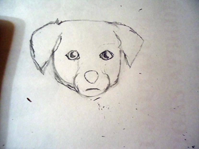  Autors: almazza Kā uzzīmēt un izkrāsot suni