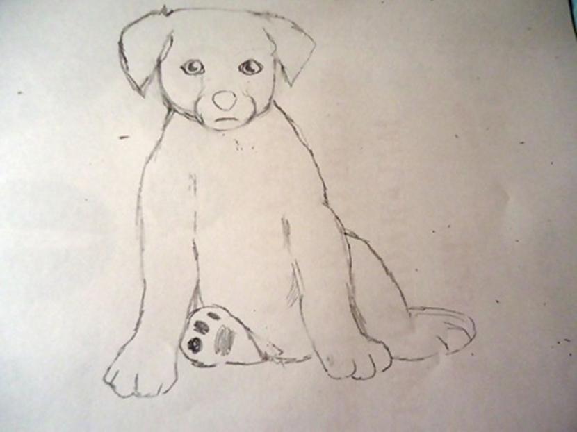 Tas būs amizanti izsēdies... Autors: almazza Kā uzzīmēt un izkrāsot suni