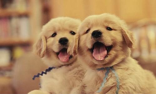  Autors: we heart it Dream On .15