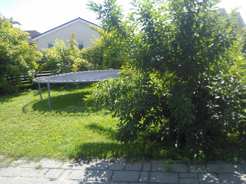Scaronis ir skats uz manu... Autors: mūsdienu bokseris Vieta kur es dzīvoju- Ciemats ,,Saulīši''