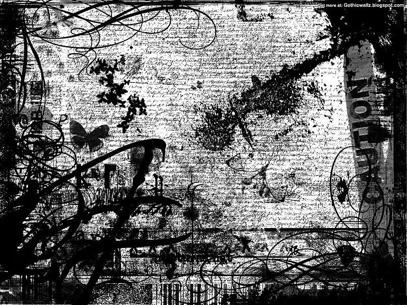  Autors: Fosilija My Wallpapers