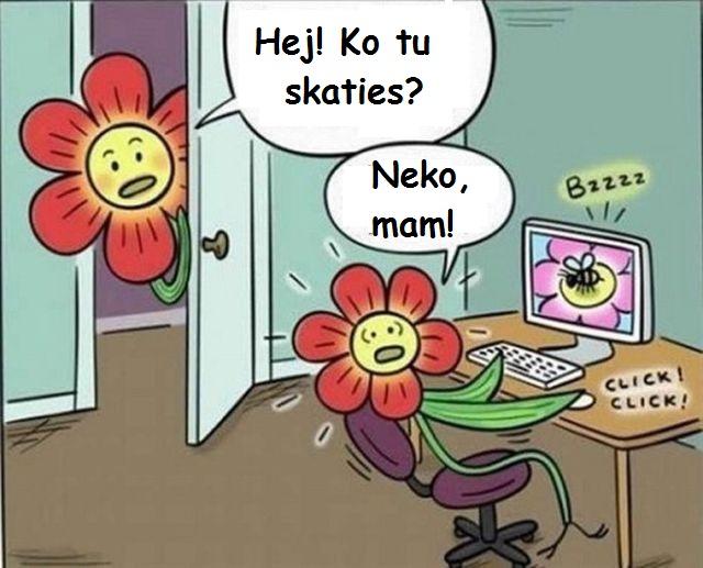  Autors: SunshineFlower Komiksi... TULKOTI!