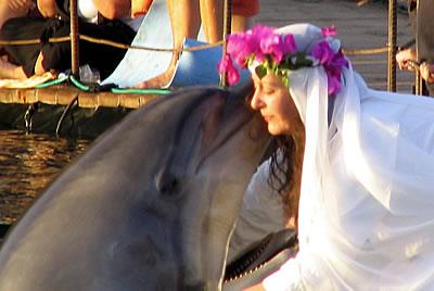 Autors: Deadshot Sieviete apprecas ar delfīnu