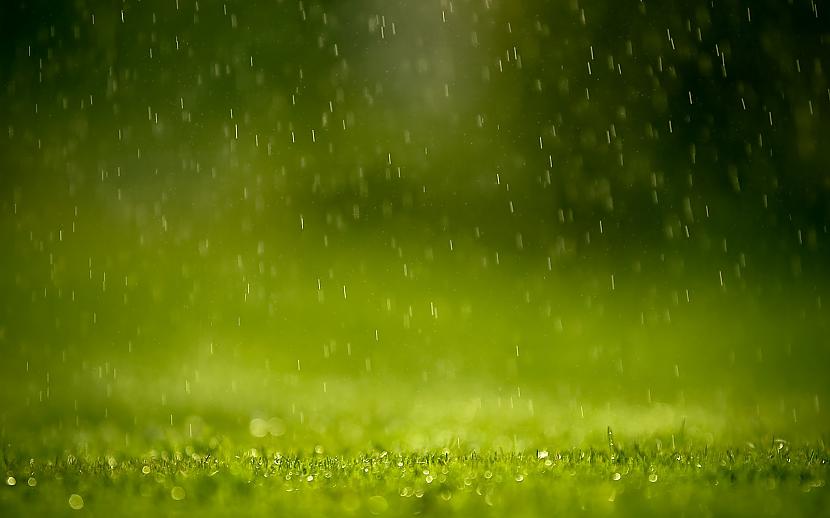  Autors: Zebra sinepēs [ rain ]