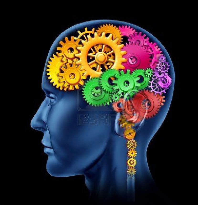 cilvēka smadzenes ir... Autors: LordOrio Kā darbojas-smadzenes