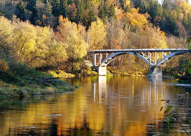  Autors: slida Rudens kā rudens...