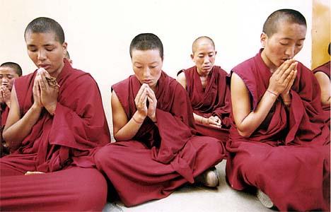 Daudzi Tibetas mūki guļ sēdus Autors: elv1js Fakti par... jebko /2/