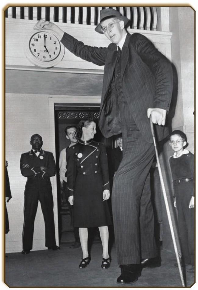 1940 gada 4 jūlijā Vadlovs... Autors: OKarlis Pasaules visu laiku garākais cilvēks