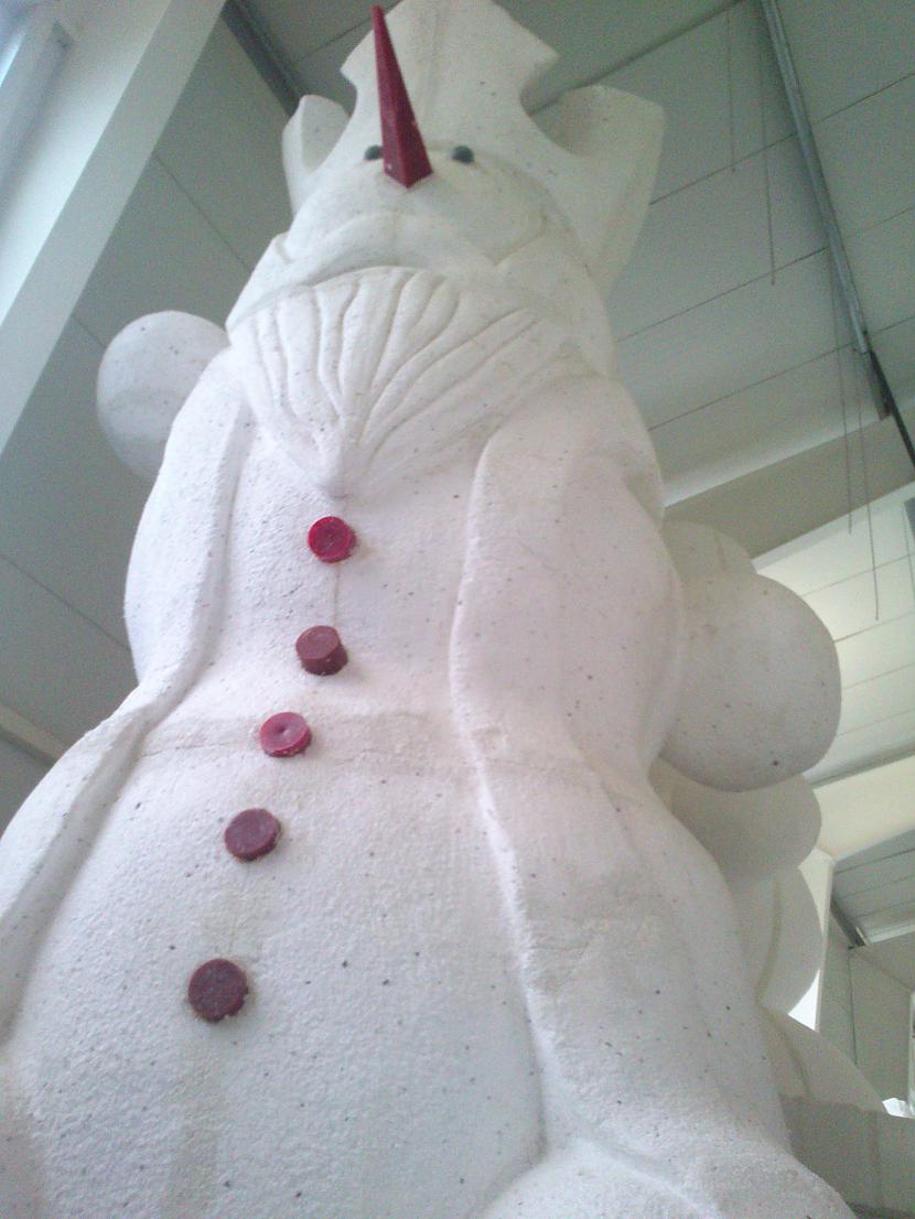Karalis gaida savu kārtu tikt... Autors: Arizon Dobelē jau sniegavīri!