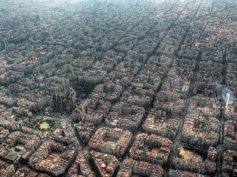 Barselona Autors: Šamaniss Kā izskatītos pasaule ja tu būtu putns.