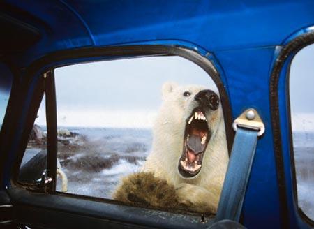 Jo kādam var būt steidzama... Autors: Raziels Balto lāču galvaspilsēta