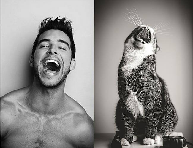 Autors: Spocīgā Divas jaukas būtnes - kaķi un vīrieši.