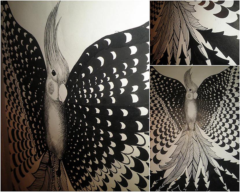 Melnbaltais putns Mākslas... Autors: Fosilija Mani darbi un nedarbi