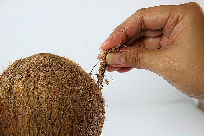 Norauj nost brūnos... Autors: plunkš Kā iegūt kokosrieksta skaidiņas?