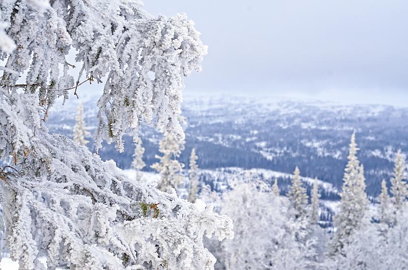  Autors: Fosilija Zviedrija - Åre