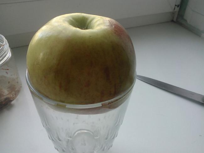 Ievietojam ābolu glāzē lai tas... Autors: ORGAZMO Paštaisītā ūdenspīpīte :D