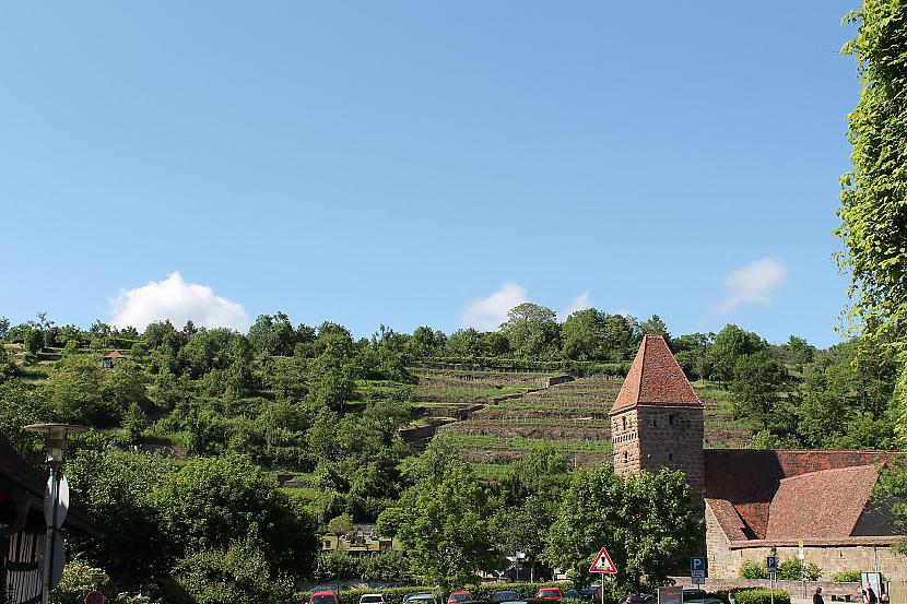 Vīna lauki kalna slīpumā Autors: Deony Maulbronnas klosteris (Kloster Maulbronn)