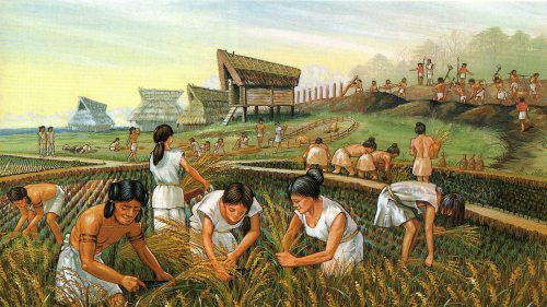 Agrikultūras revolūcija sākās... Autors: LordOrio Pasaules vēsture#1-Agrikultūras revolūcija