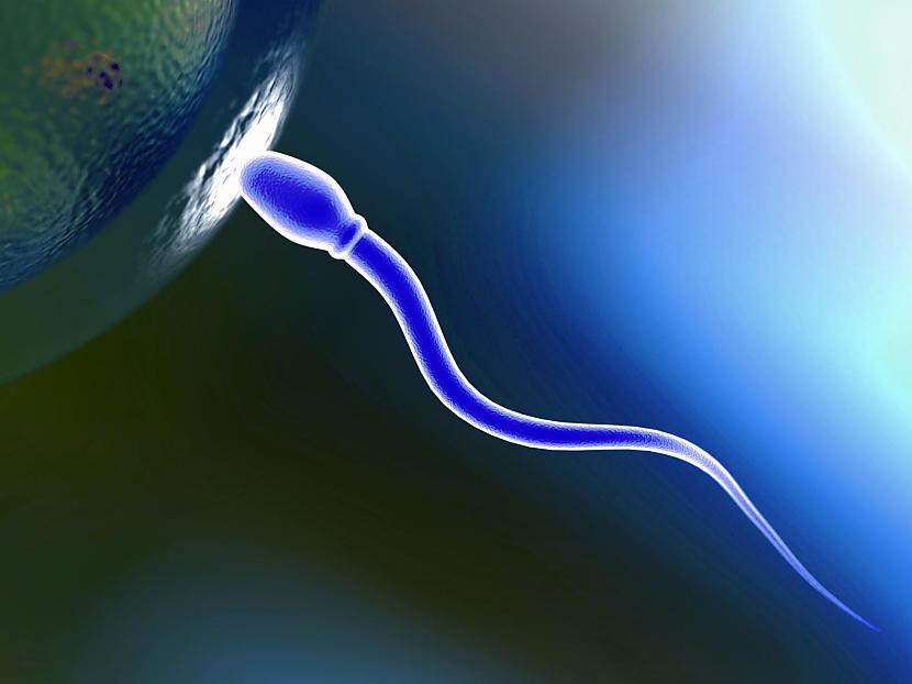 Spermas daudzums kuru veselīgs... Autors: Raacens 18 wtfAKTI