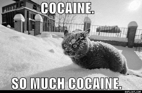 Pēdējos 10 gados kokaīns ir... Autors: FUCK YEAH ACID Fakti par kokaīnu.