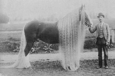 Zirgi ar neticami garām krēpēm... Autors: Man vienalga 12 veco laiku bildes, kuras NAV fotošopētas!