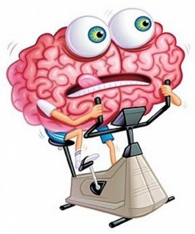 Smadzenes ir aktīvākas... Autors: twist Interesanti fakti par TEVI!