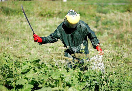 Kas tas par murgu Jā jūs... Autors: Fosilija Foršie, skaistie latvāņi