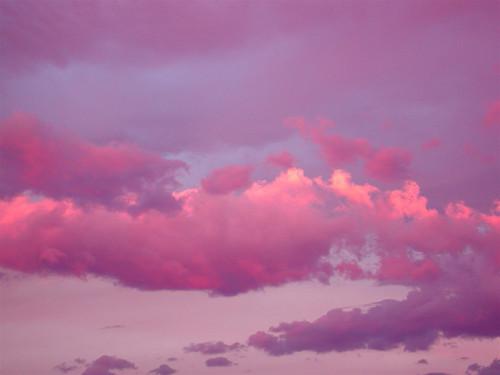  Autors: Fosilija Colours : Pink