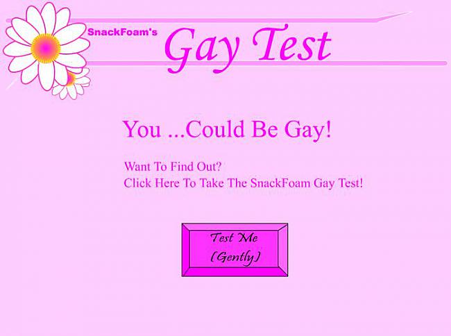 The gay TestTuvarētu būt... Autors: Shikai Ļevākās spēles internetā /3/