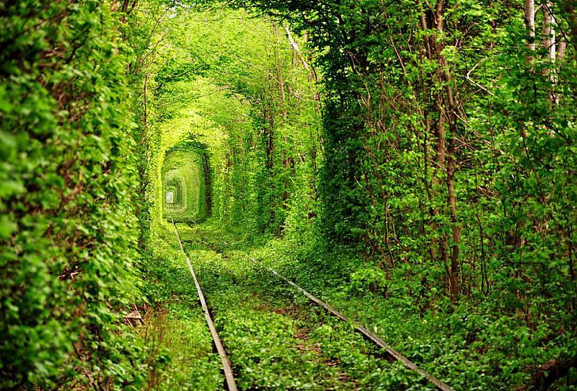 Tunelis kuram apkārt ir koki... Autors: Man vienalga 40 Tiešām interesanti attēli!