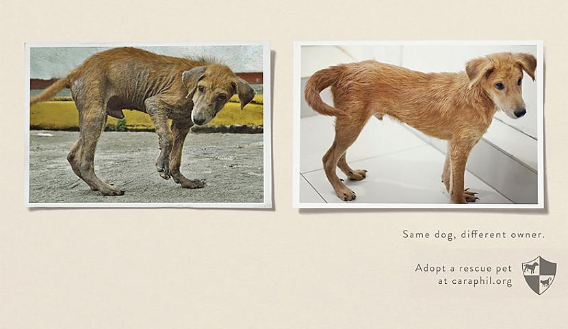 Viens un tas pats suns... Autors: Fosilija Reklāmas, kas liks aizdomāties.