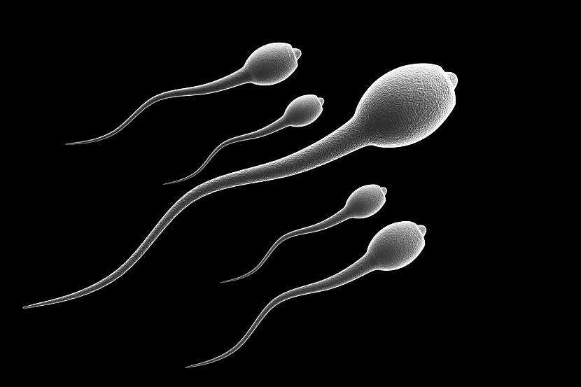 Tikko izscaronautas spermas... Autors: Uldis Siemīte +18 Fakti! Jā, par seksu.