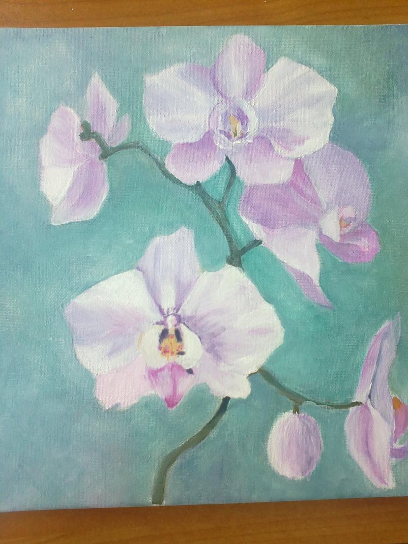 Ir jau ir  sāk izskatīties pēc... Autors: SākuDzīvi NoJauna Manis gleznotas orhidejas (soli pa solim)