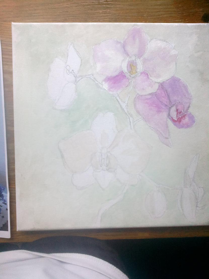 Emmm sākums vienmēr izskatās... Autors: SākuDzīvi NoJauna Manis gleznotas orhidejas (soli pa solim)