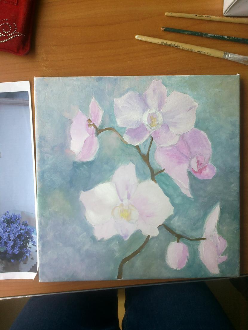 Ķip ķap  fonam tiek piemeklēta... Autors: SākuDzīvi NoJauna Manis gleznotas orhidejas (soli pa solim)
