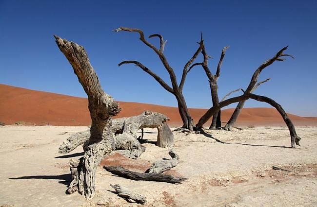 Karstums ir nepanesams Autors: Fosilija Ceļojums pa tuksnesī
